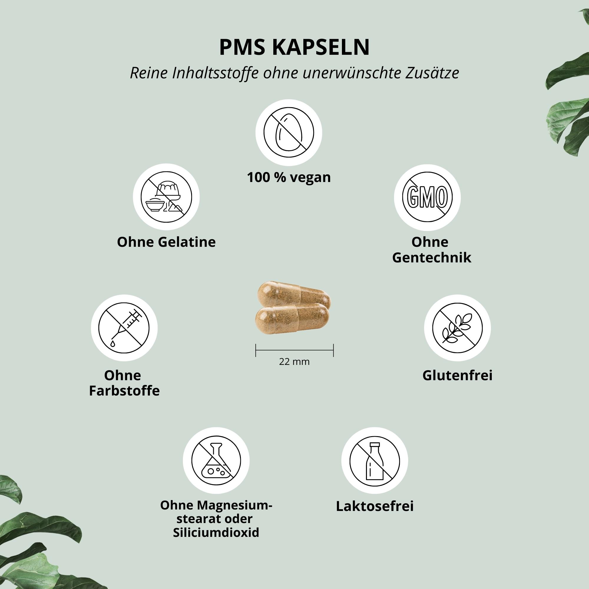 PMS – Perfect Mood Support Kapseln 