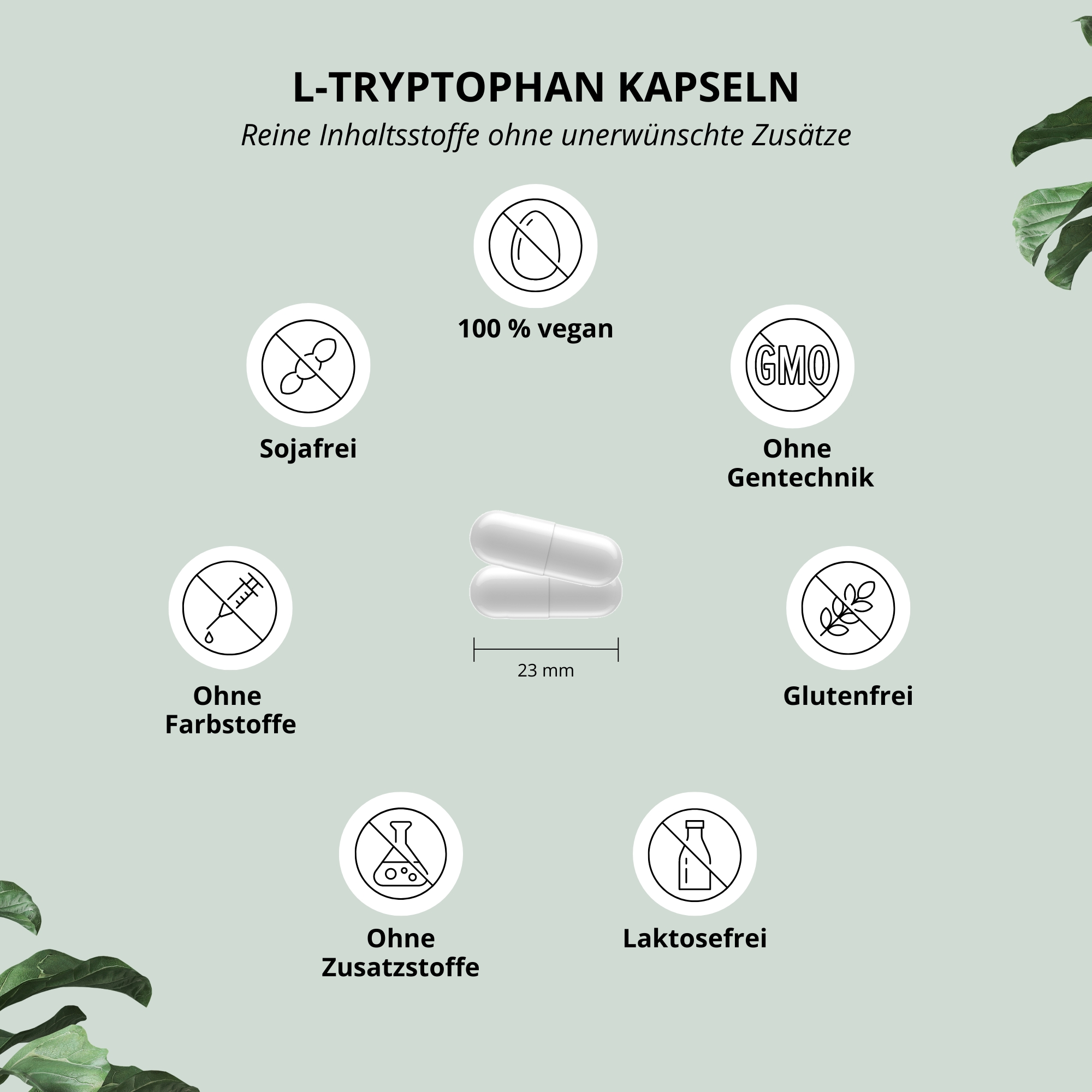 L-Tryptophan Kapseln