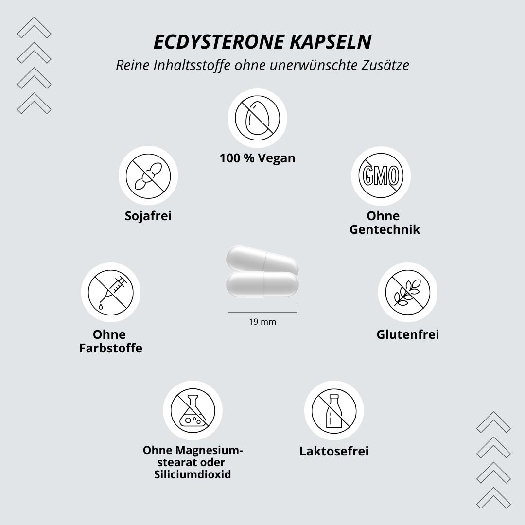 Ultra Ecdysteron Kapseln + Leucin + Piperin