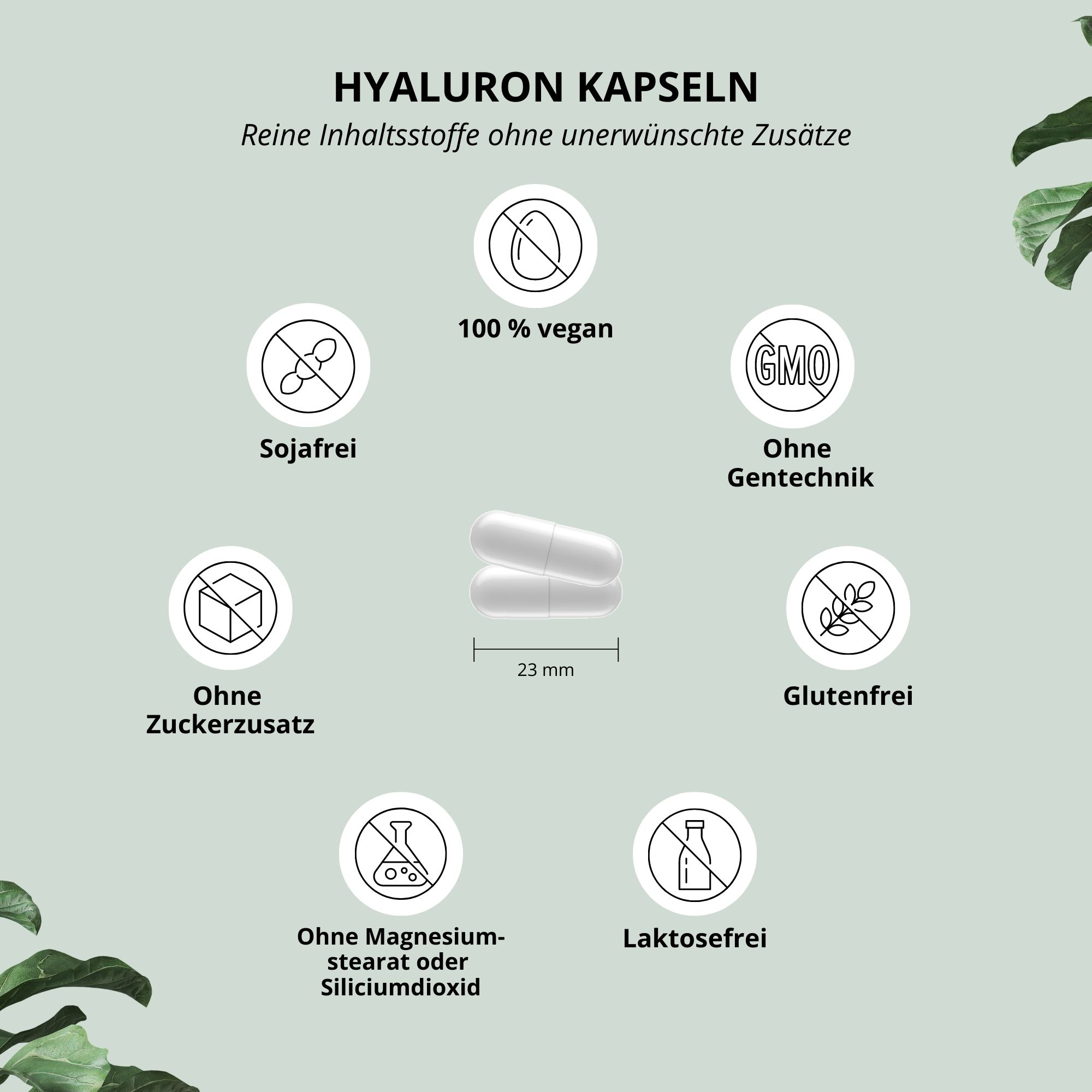 Hyaluronic capsules